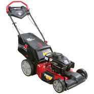 CRAFTSMAN LAWN MOWER Parts | Model 247377300 | Sears PartsDirect