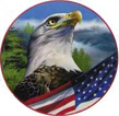American Hawks LLC