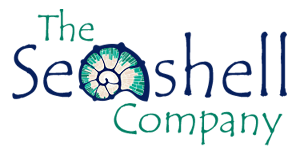 The Seashell Company