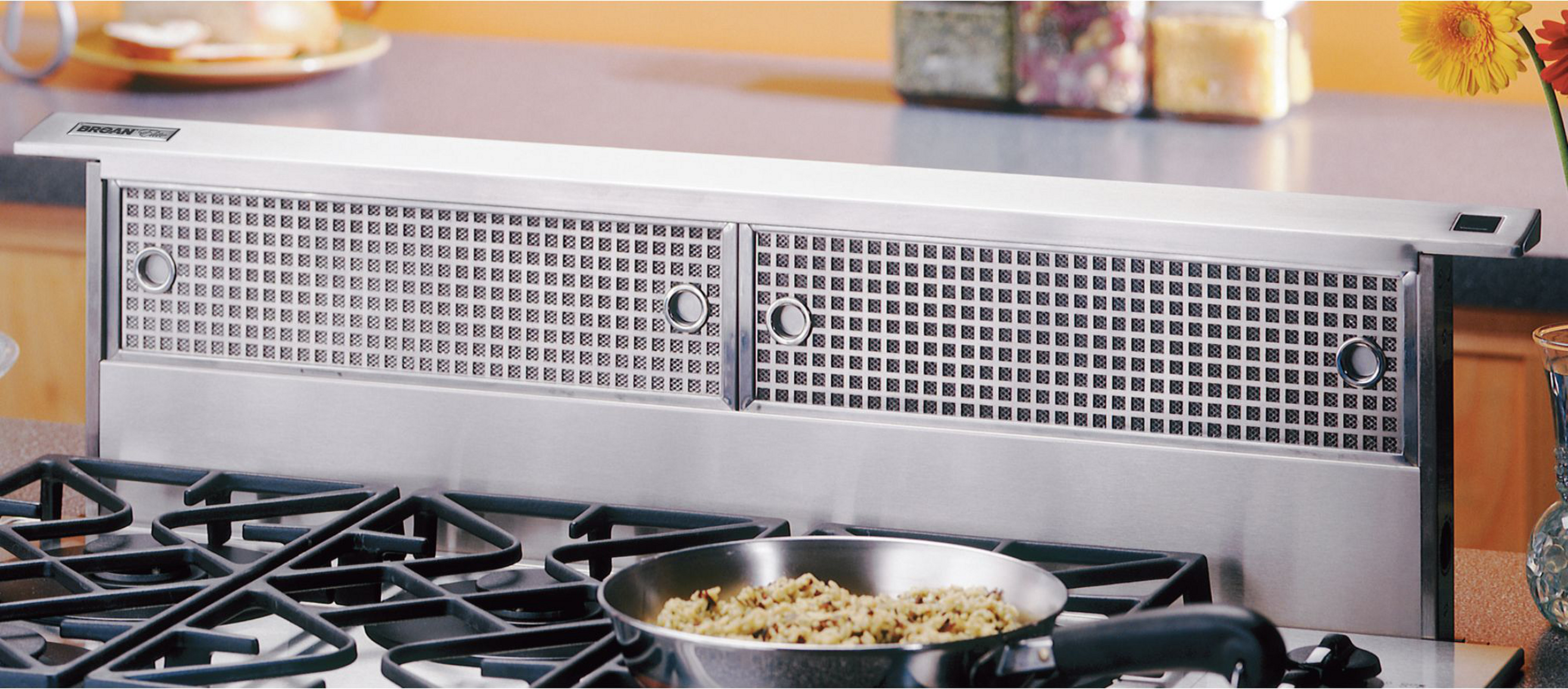 Broan RMDD4804EX Range Hood