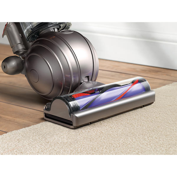 dyson compact animal