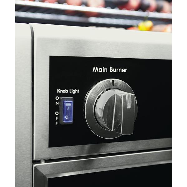 Kenmore RB2818TN 4Burner DualFuel Gas Grill with Folding Side Table