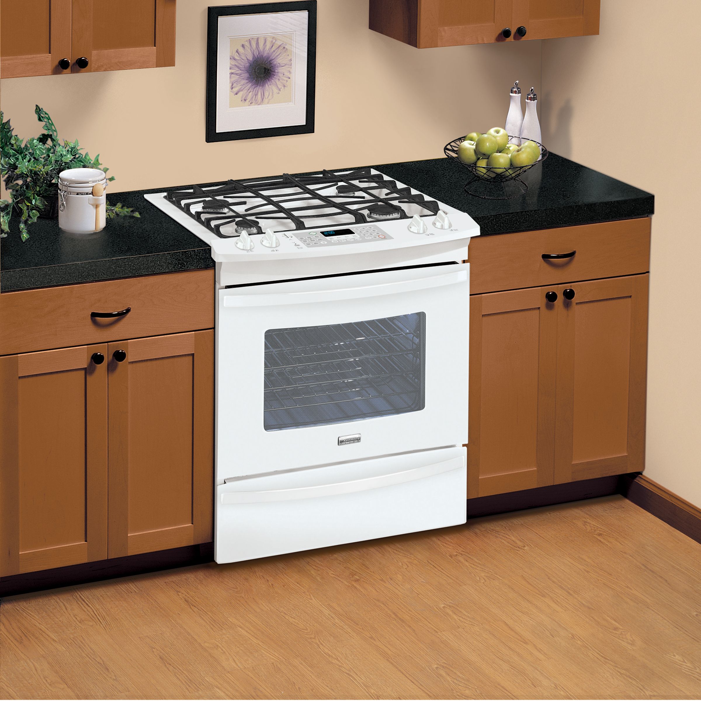 Kenmore Elite 79041032800 Dual-Fuel Range