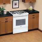 Dual-Fuel Range logo