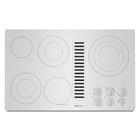 36" Electric Downdraft Cooktop logo