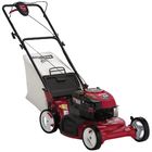 Rotary Lawn Mower logo