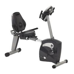 Schwinn 250 best sale recumbent bike manual