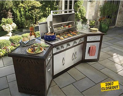 Kenmore 119166790 Gas Grill