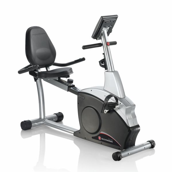 schwinn 213 recumbent bike